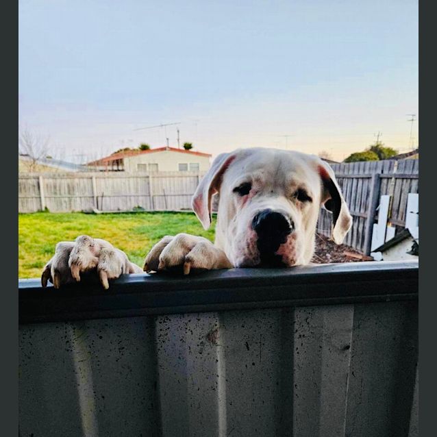 Photo of Cash