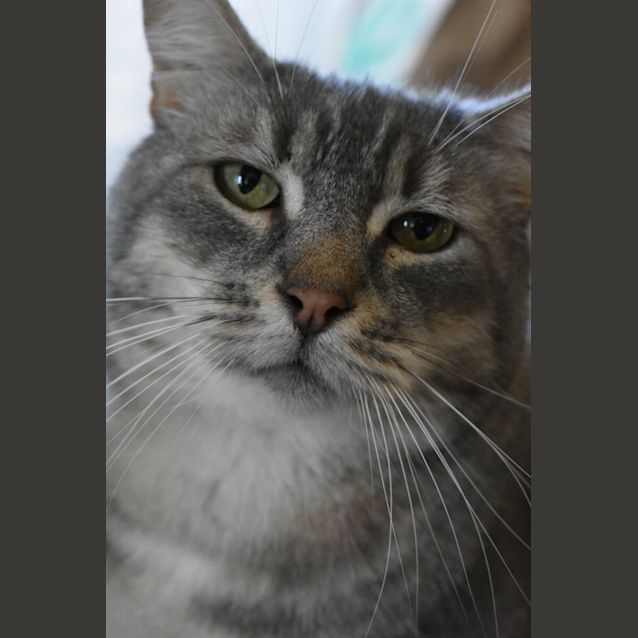 Photo of Lovebug Rupert