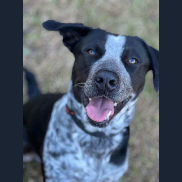 Photo of Blue 