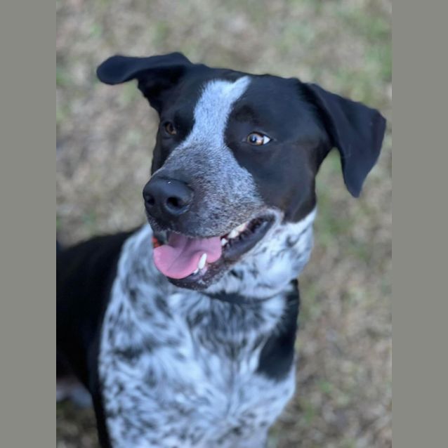 Photo of Blue 