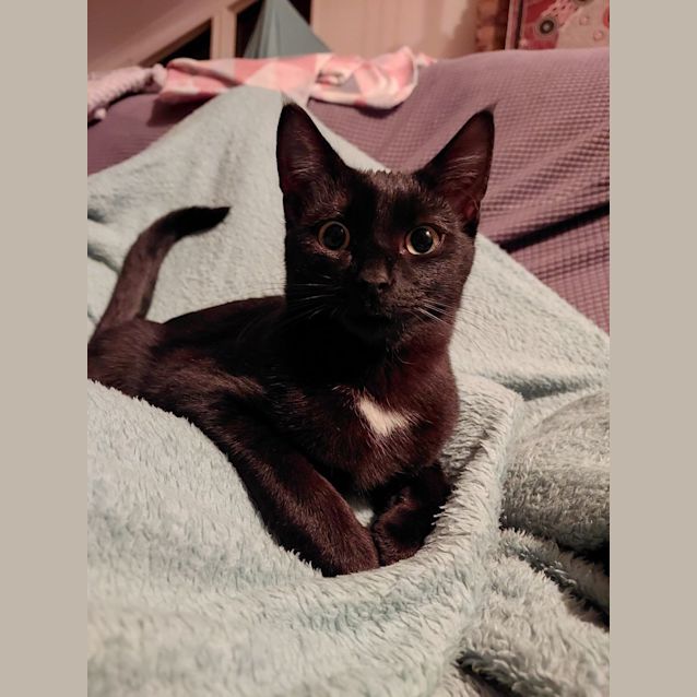 Photo of Kiara
