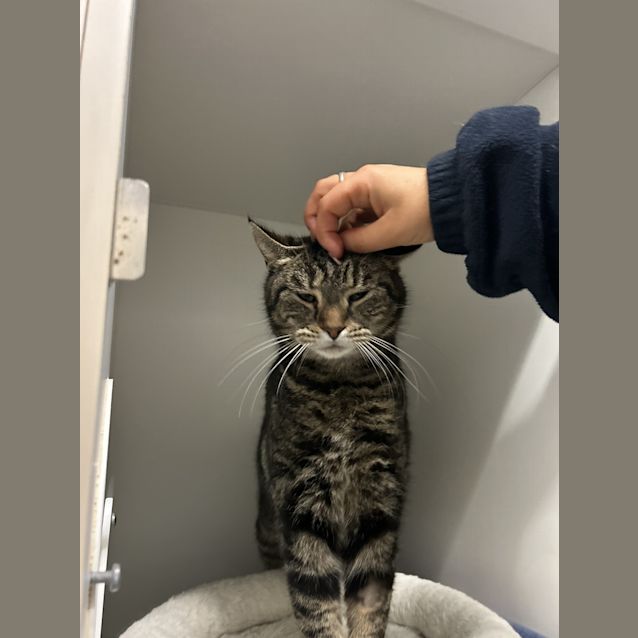 Photo of Tilly