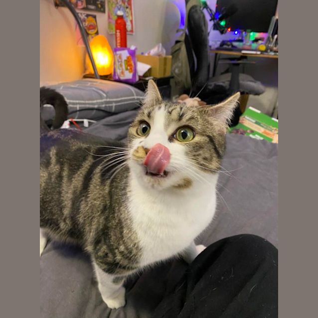 Photo of Cindy Clawford