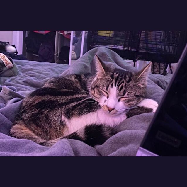 Photo of Cindy Clawford