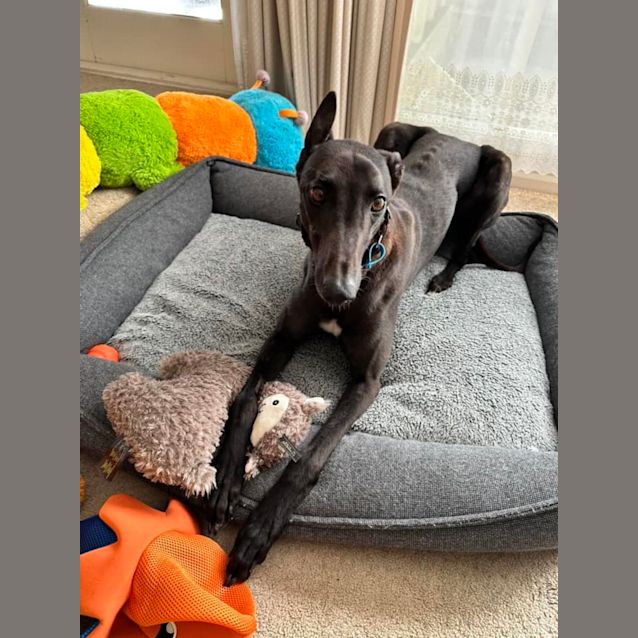 Photo of Harold (Harry) 