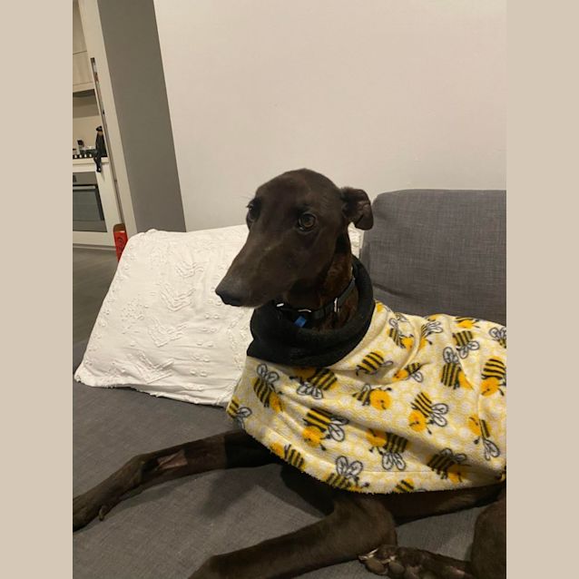 Photo of Harold (Harry) 