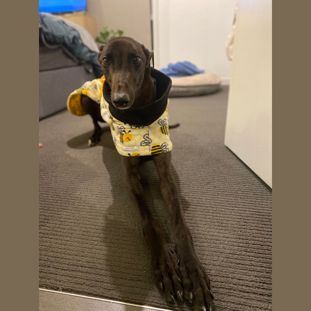 Photo of Harold (Harry) 