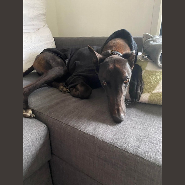 Photo of Harold (Harry) 