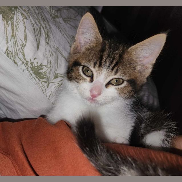 Photo of Tiny