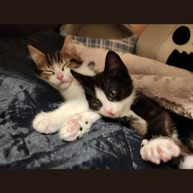 Photo of Tiny