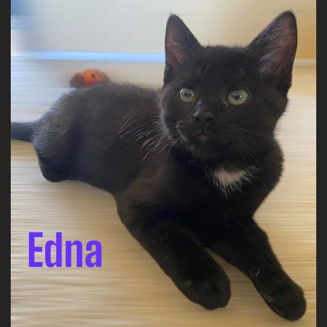Photo of Edna