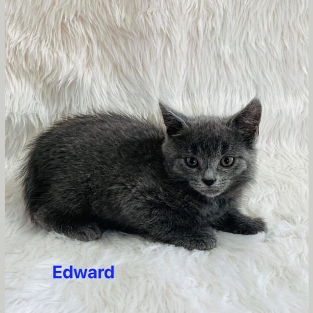 Photo of Edward