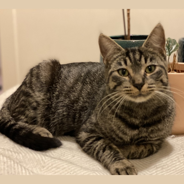 Photo of Mia