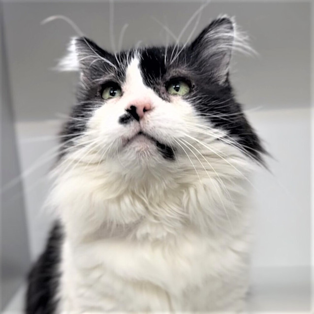 Photo of Tuna 