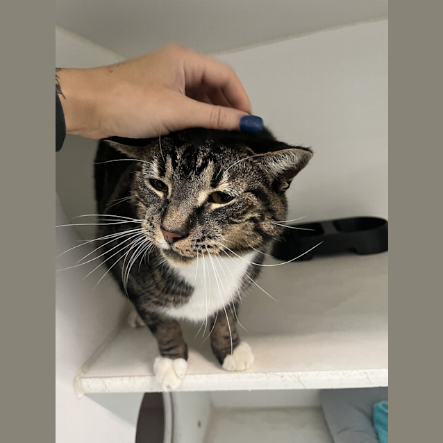 Photo of Twix