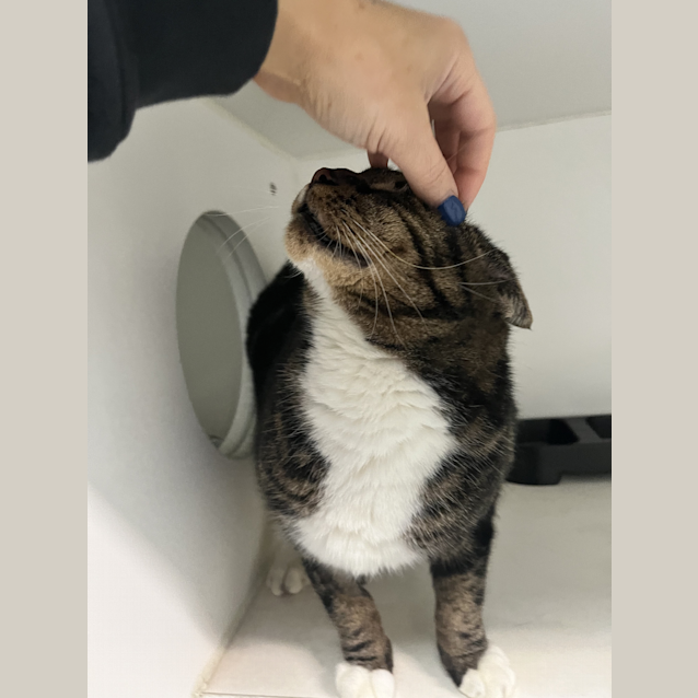 Photo of Twix