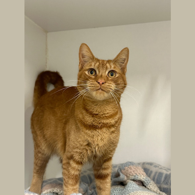 Photo of Jasper