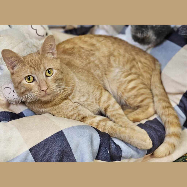 Photo of Mr G