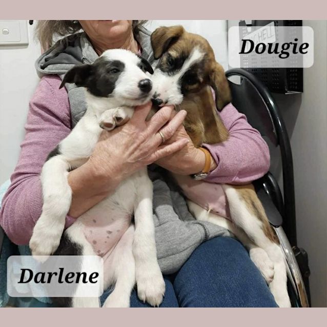 Photo of Dougie And Darlene
