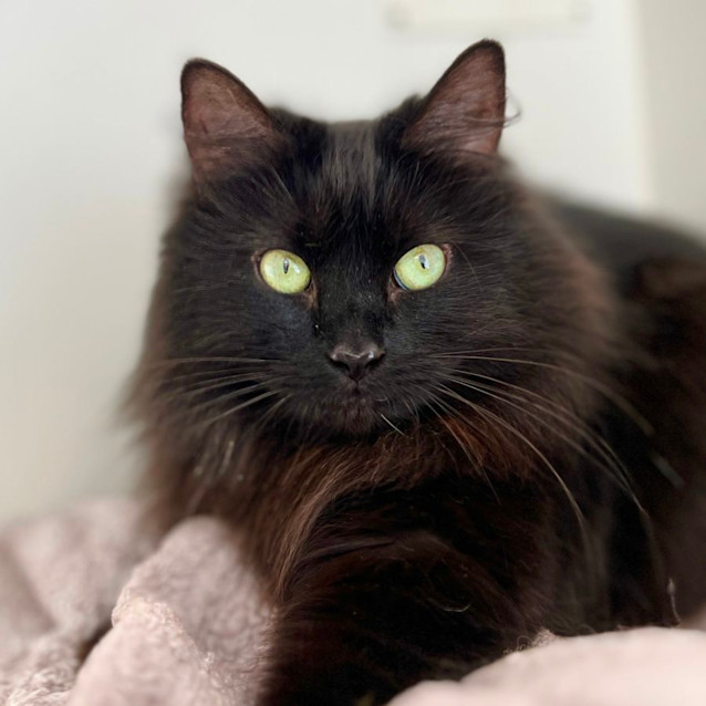 Photo of Susie & Ally