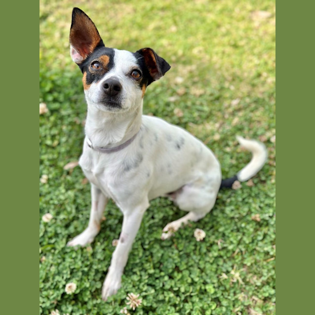Photo of Doug