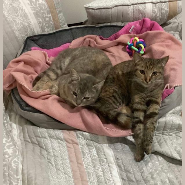 Photo of 💕Gigi & Opal 💕