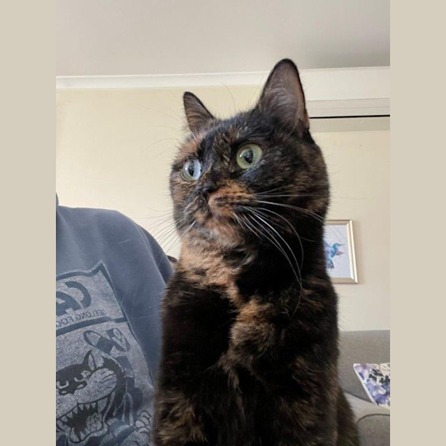 Photo of Ella Bella Speranza