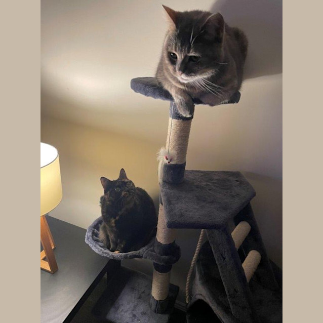 Photo of Ella Bella Speranza