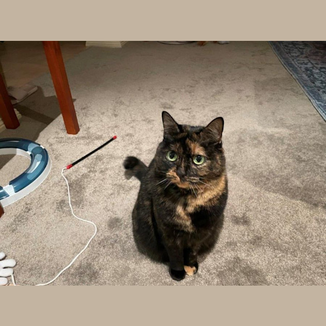 Photo of Ella Bella Speranza