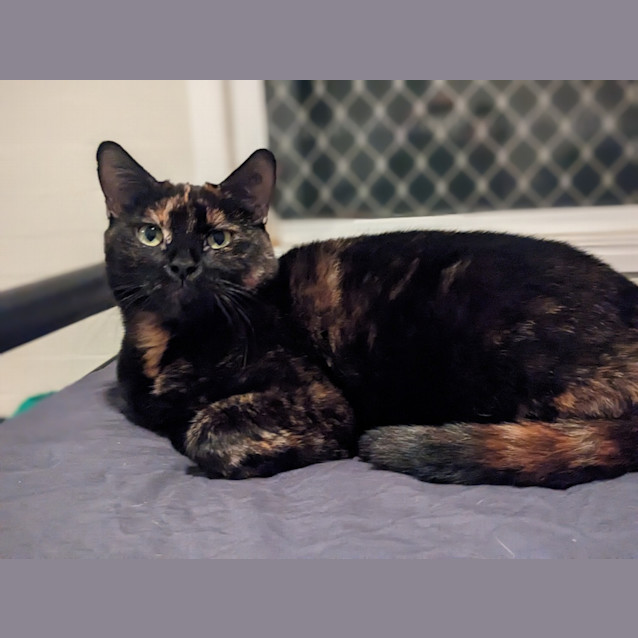 Photo of Eliza