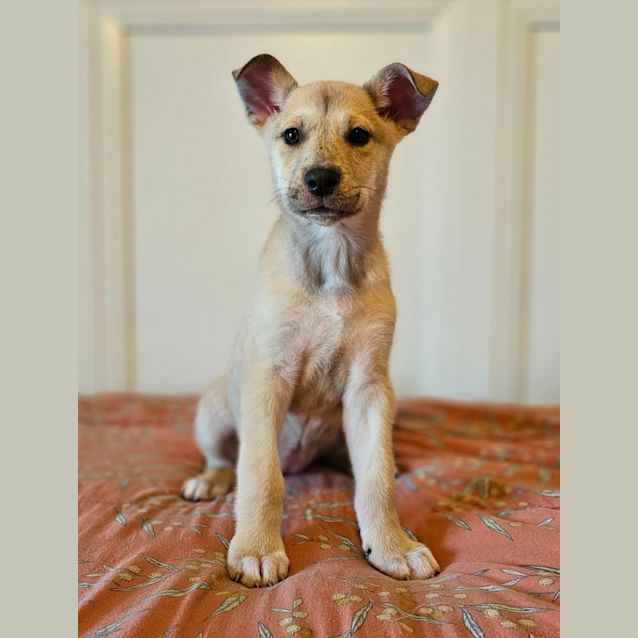 Photo of Matilda