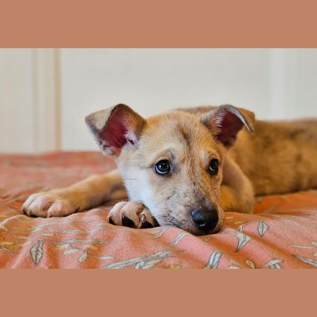 Photo of Matilda