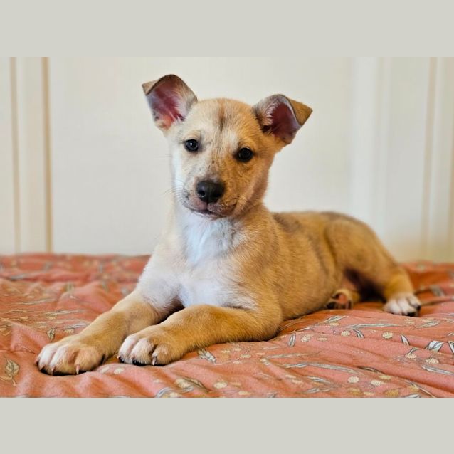 Photo of Matilda