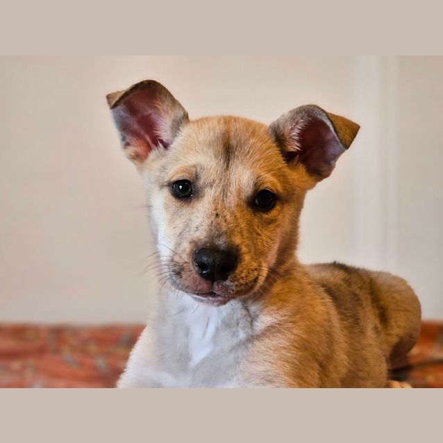 Photo of Matilda
