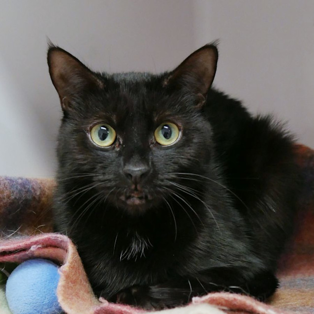 Photo of Tammara Sta011566