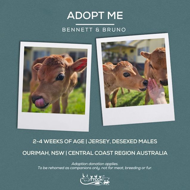 Photo of Bennett And Bruno