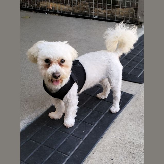 Photo of D896 Chelsea