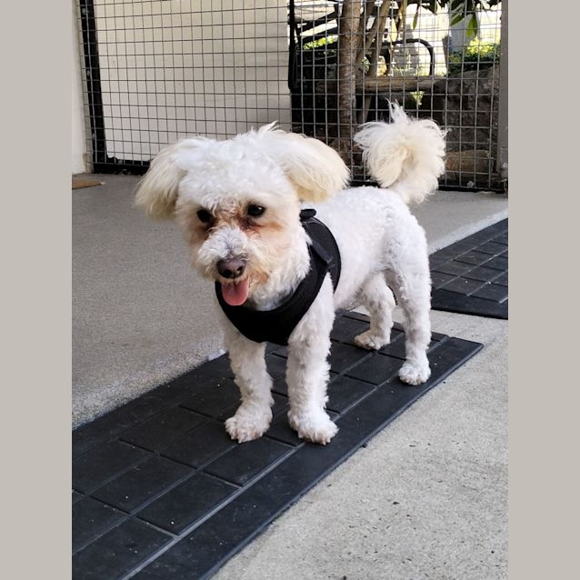 Photo of D896 Chelsea