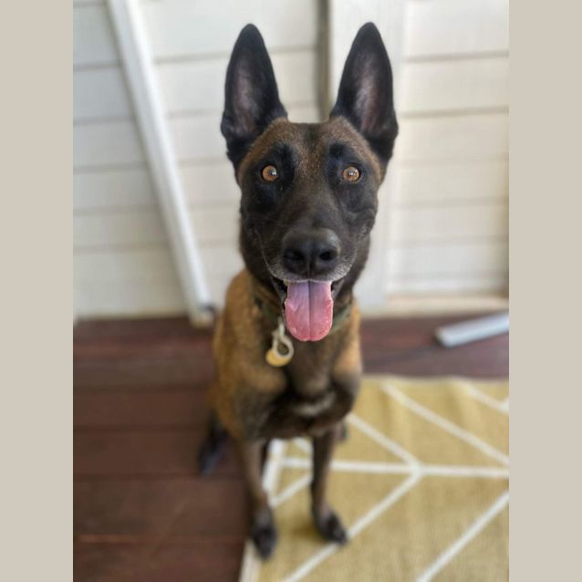 Photo of Jack