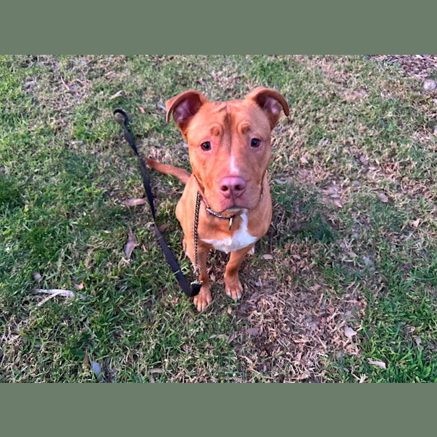 Photo of Gatsby 