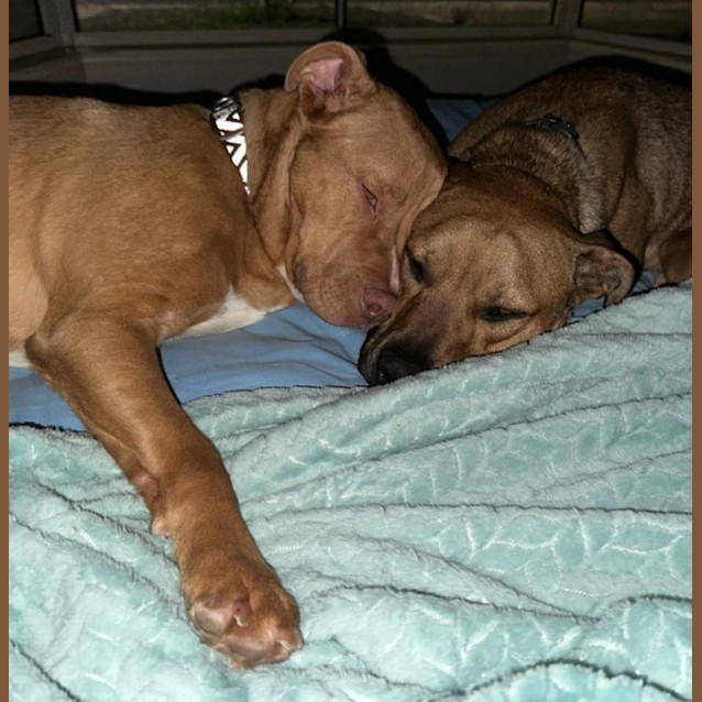 Photo of Gatsby 