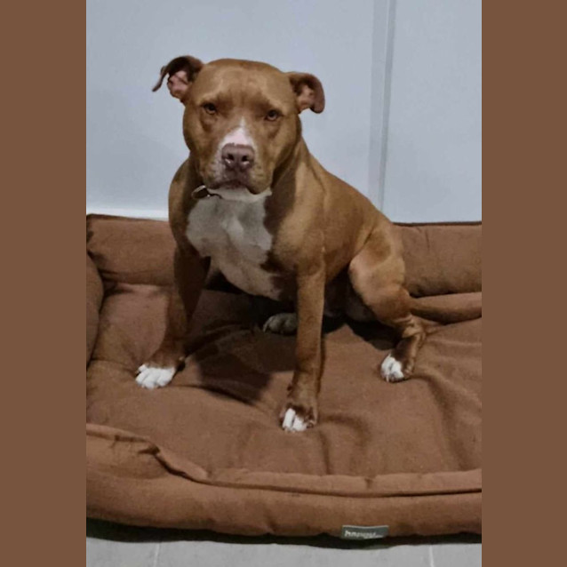 Photo of Gatsby 