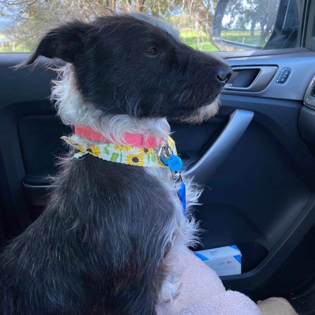 Photo of Maddie