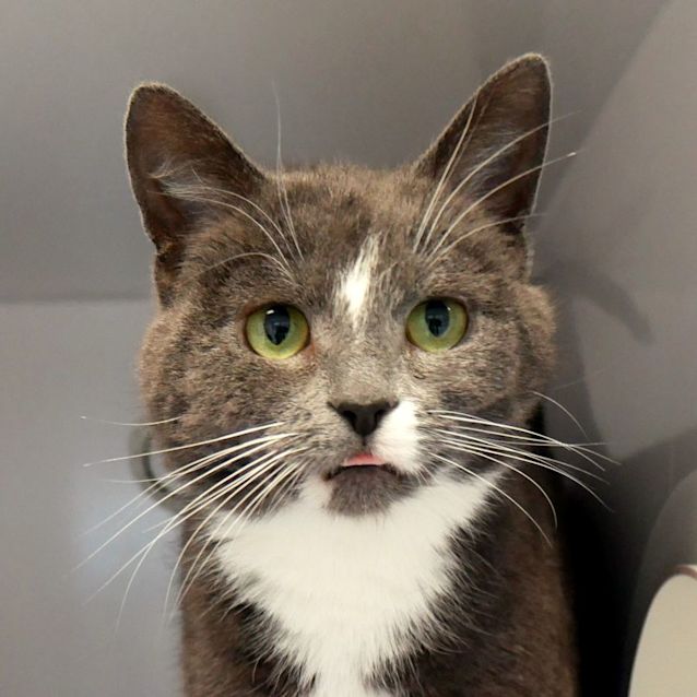 Photo of Chelsea Rsta011384