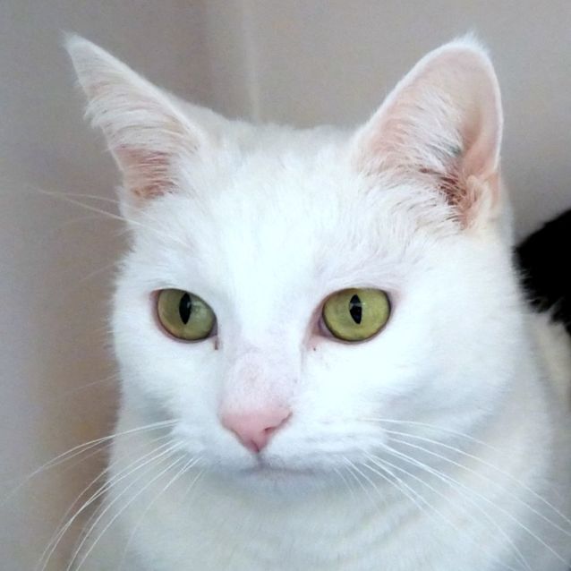 Photo of Barry Sua011573 And Racquel Sua011574