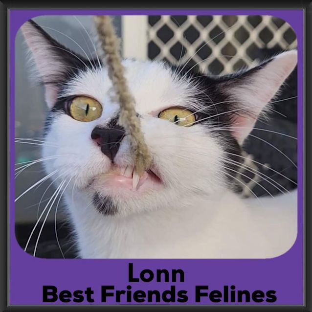 Photo of Lonn 