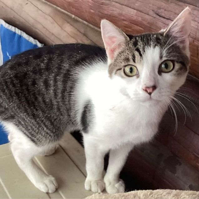 Photo of Bridgestone