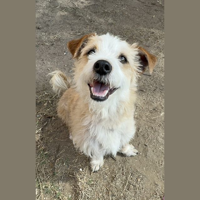 Photo of Charlie
