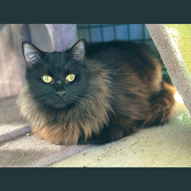 Photo of Cash