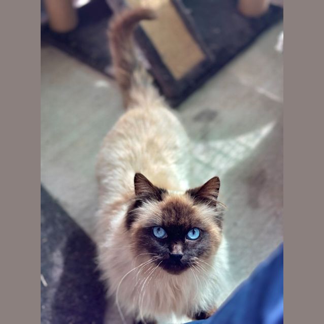 Photo of Aslan